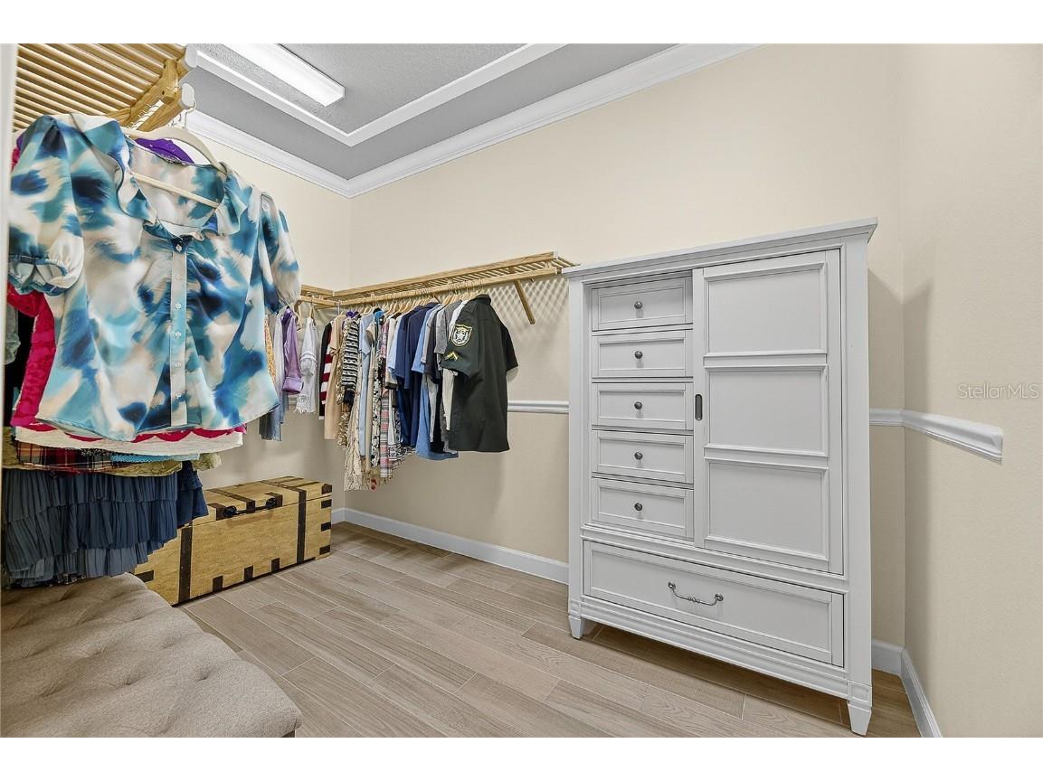 16830 Anchor Root Street Wimauma FL 33598 TB8449144 image33