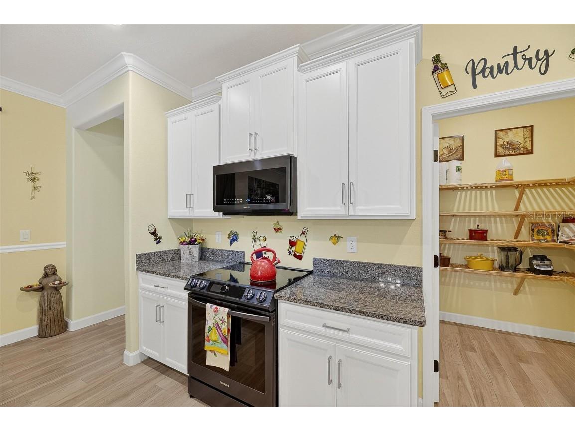 16830 Anchor Root Street Wimauma FL 33598 TB8449144 image56