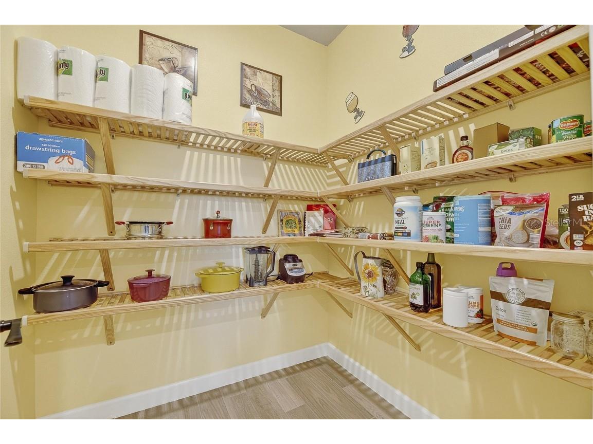 16830 Anchor Root Street Wimauma FL 33598 TB8449144 image57