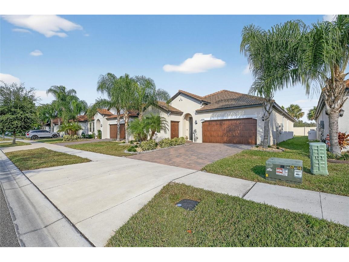 16830 Anchor Root Street Wimauma FL 33598 TB8449144 image70