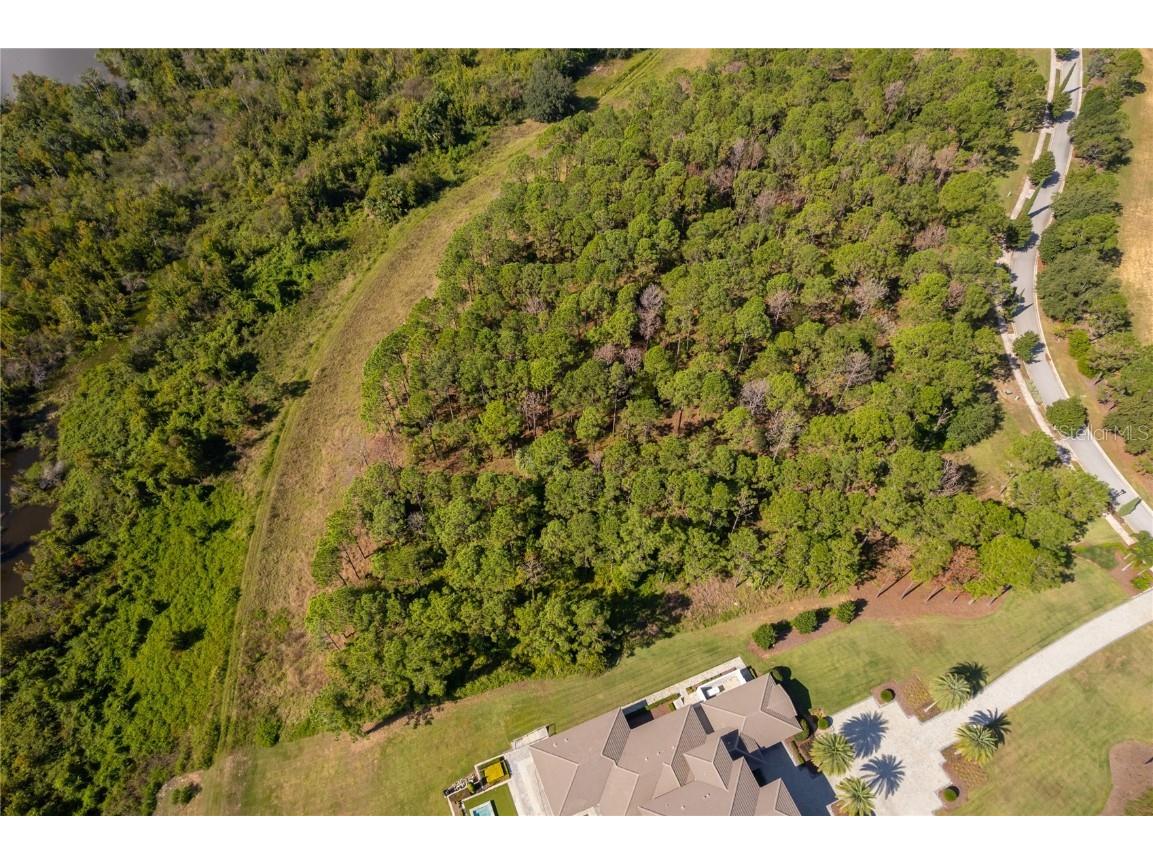 16830 Artimino Loop Montverde FL 34756 - LAKE APOPKA G5103222 image5