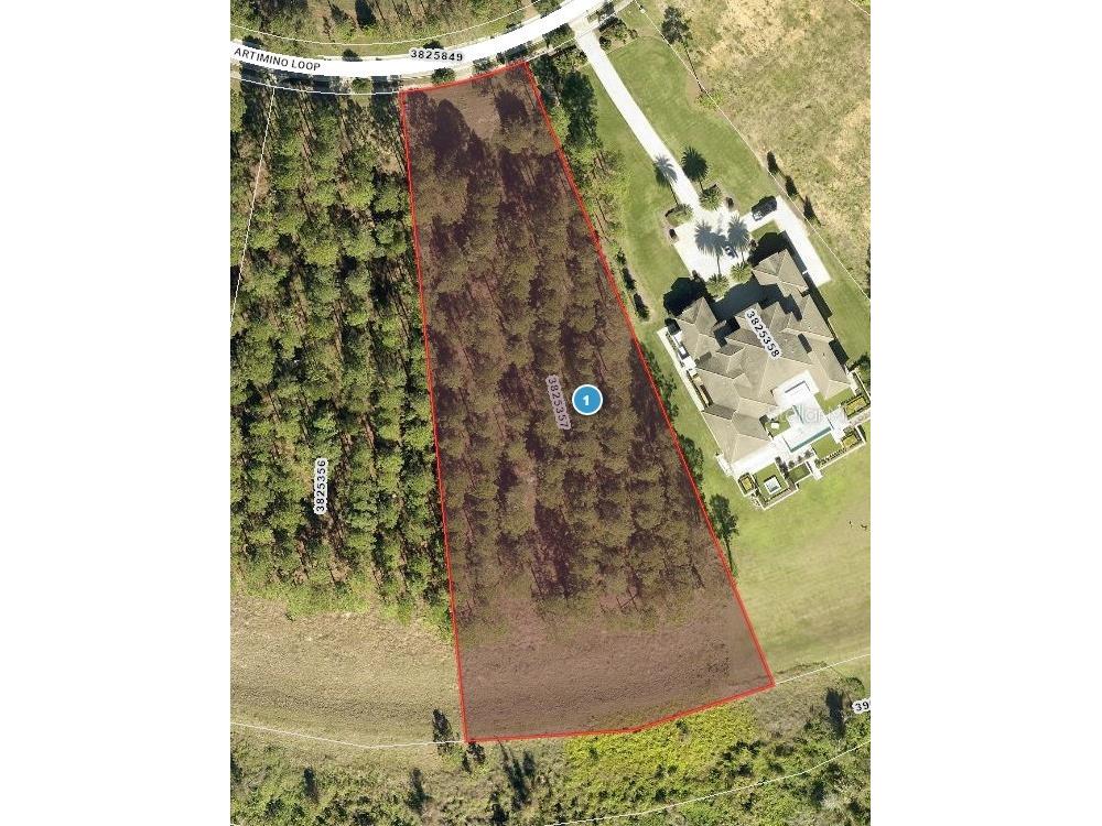 16830 Artimino Loop Montverde FL 34756 - LAKE APOPKA G5103222 image6