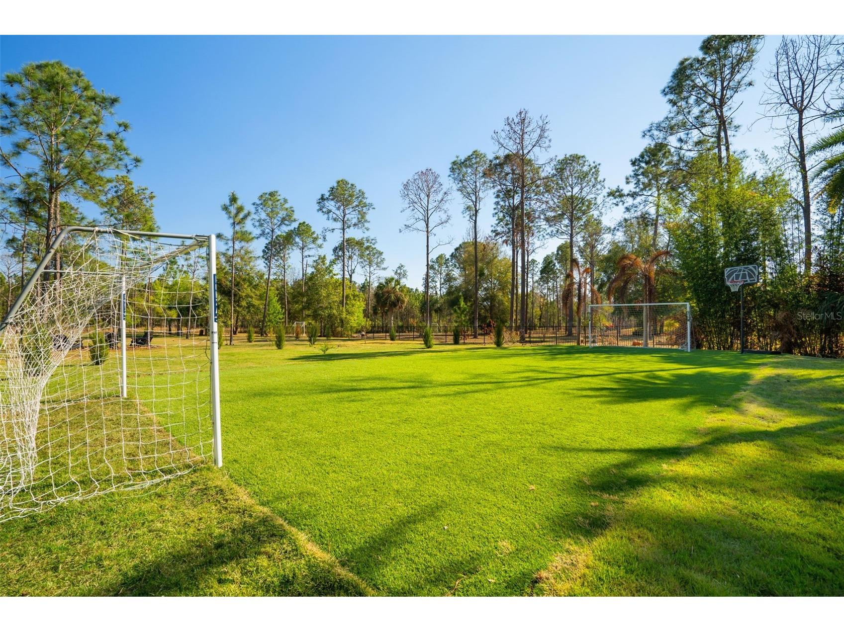 16832 Vinci Way Montverde FL 34756 O6388325 image35
