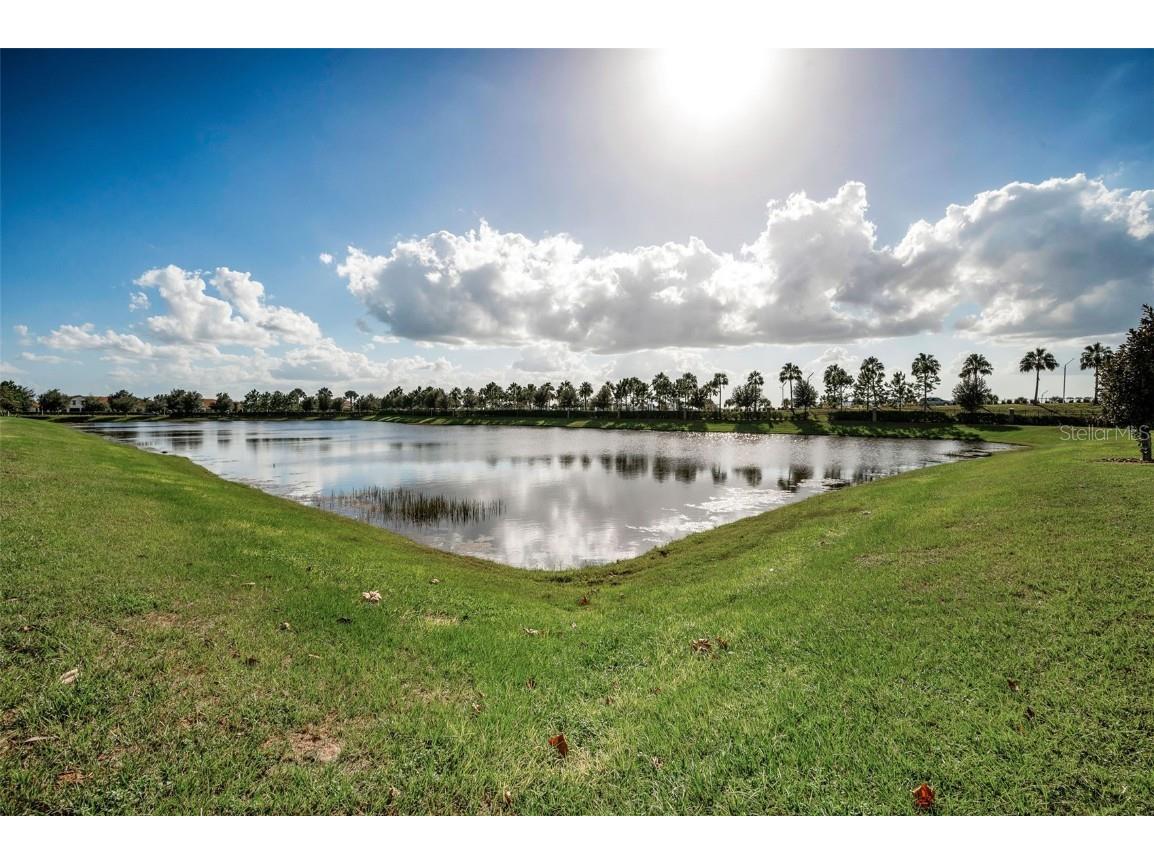 16833 Banner Shell Place Wimauma FL 33598 TB8433880 image32