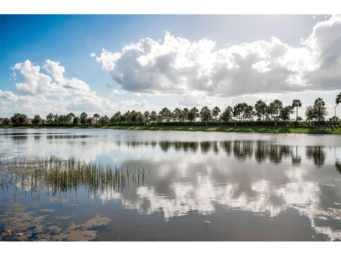 16833 Banner Shell Place Wimauma FL 33598 TB8433880 image33