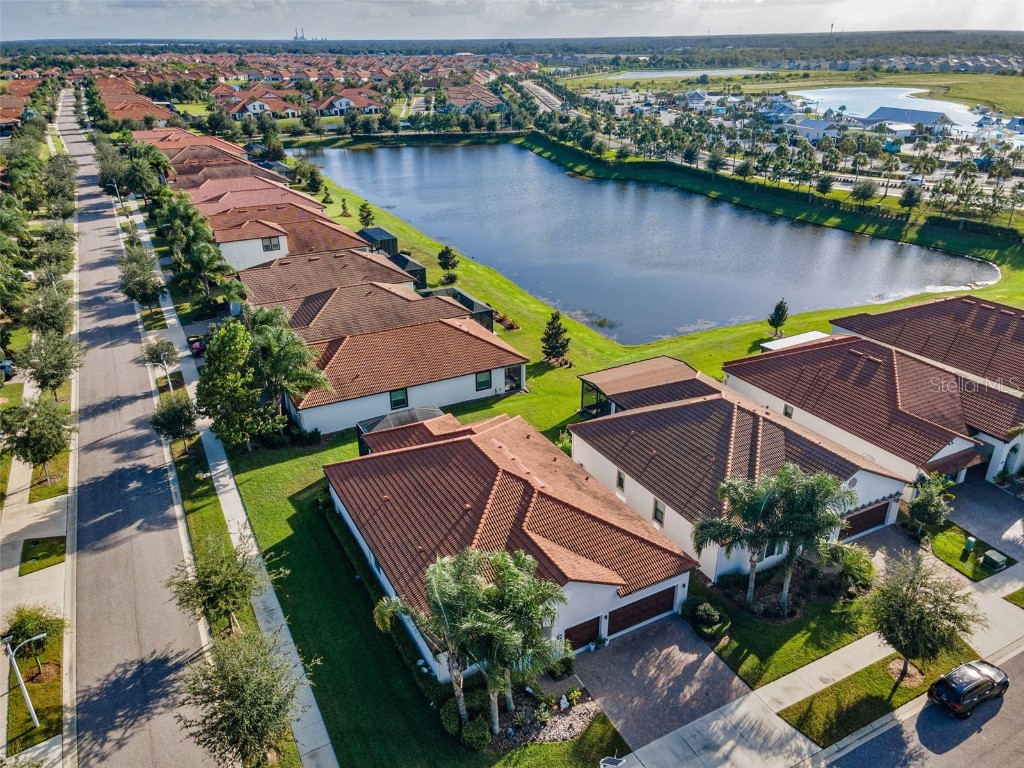 16833 Banner Shell Place Wimauma FL 33598 TB8433880 image38