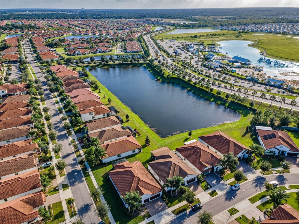 16833 Banner Shell Place Wimauma FL 33598 TB8433880 image39