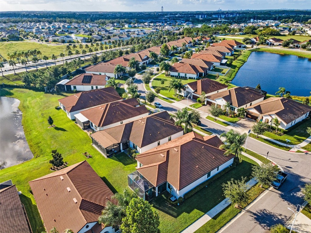 16833 Banner Shell Place Wimauma FL 33598 TB8433880 image40