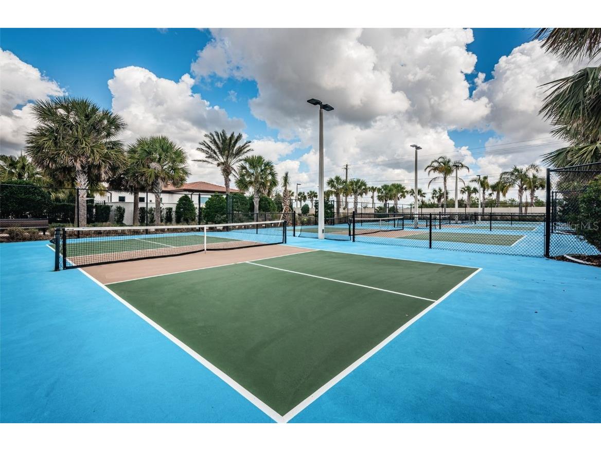 16833 Banner Shell Place Wimauma FL 33598 TB8433880 image47