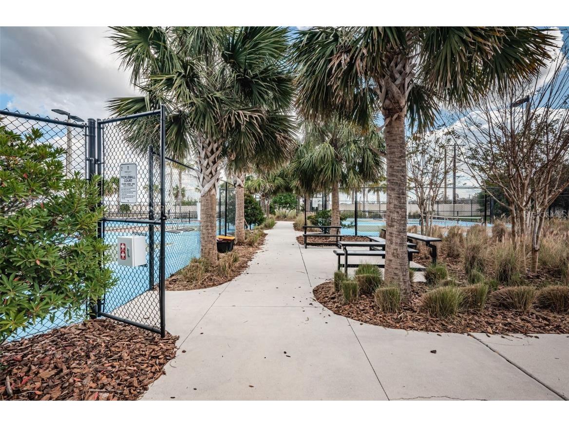 16833 Banner Shell Place Wimauma FL 33598 TB8433880 image48