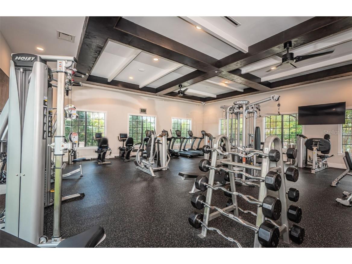 16833 Banner Shell Place Wimauma FL 33598 TB8433880 image50