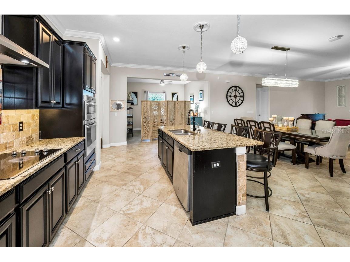 16833 Banner Shell Place Wimauma FL 33598 TB8433880 image9