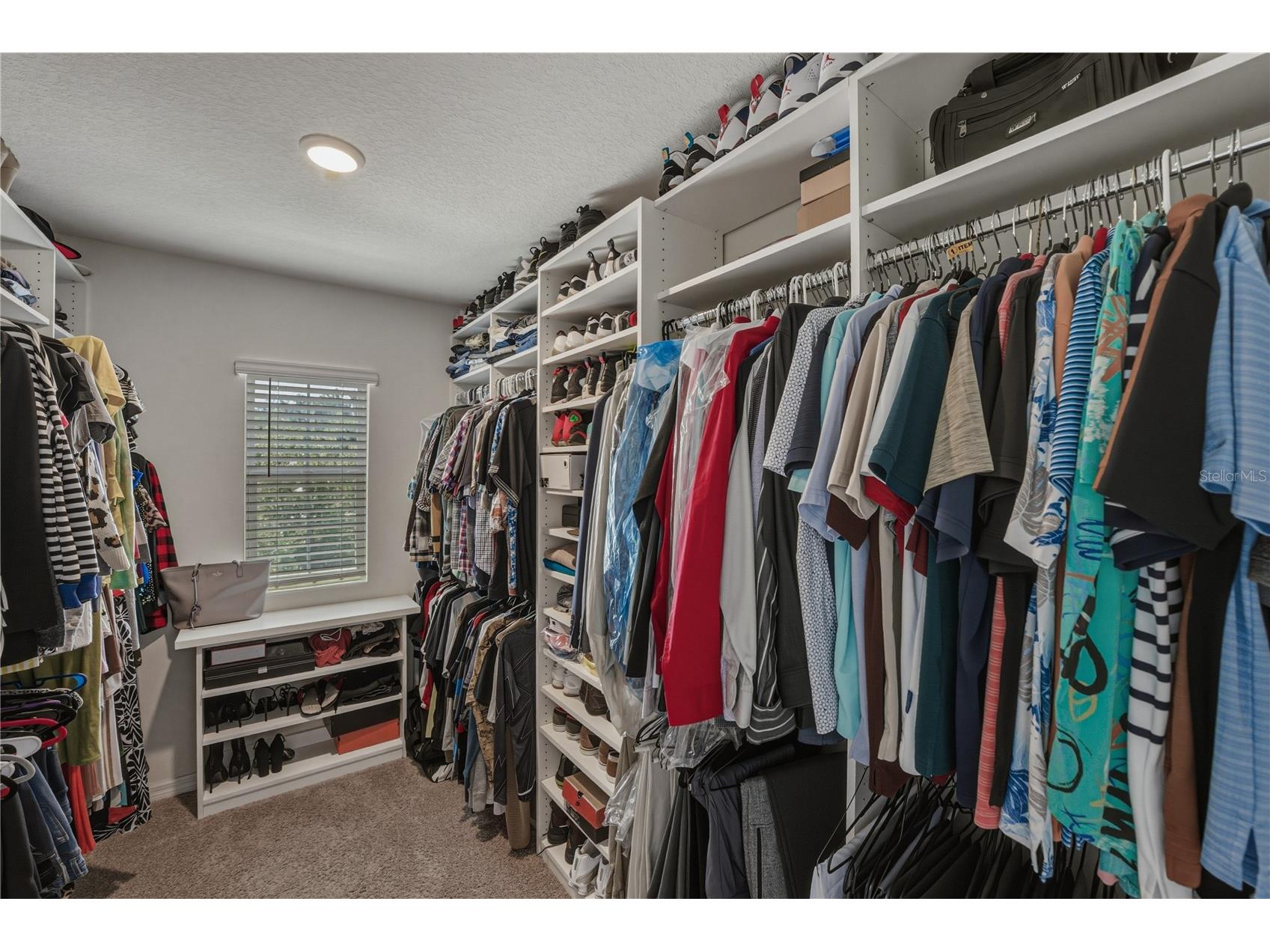 16833 Trite Bend Street Wimauma FL 33598 TB8503343 image38