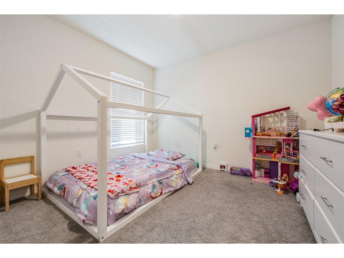 16838 Delia Street Wimauma FL 33598 TB8324613 image10