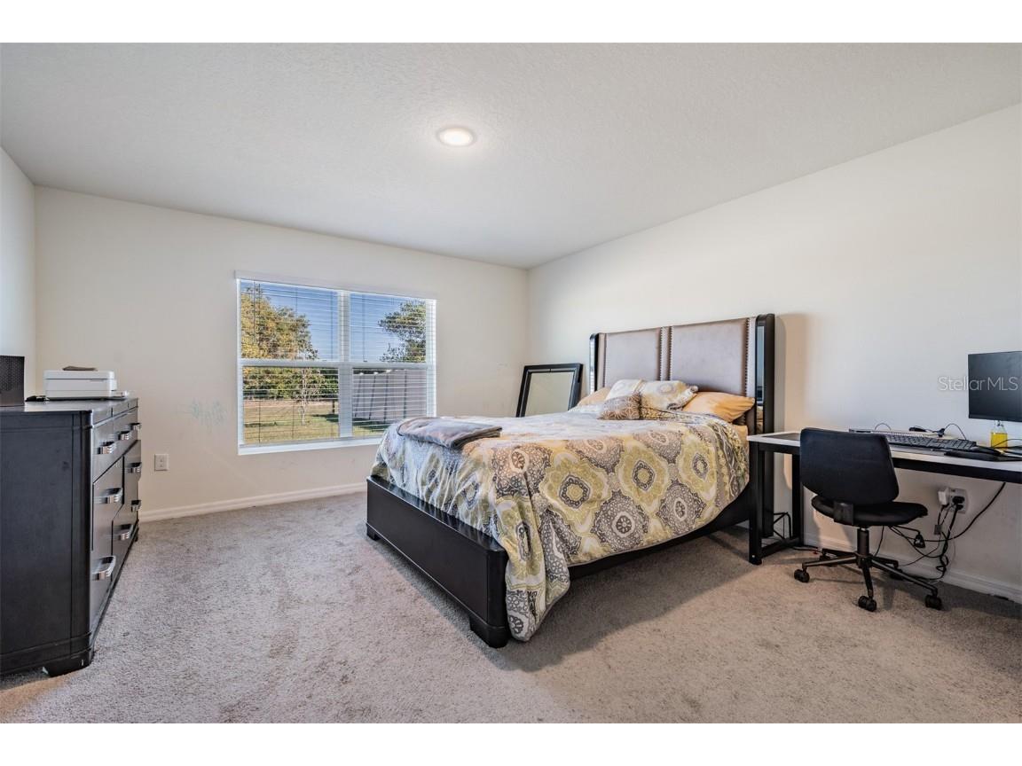 16838 Delia Street Wimauma FL 33598 TB8324613 image17