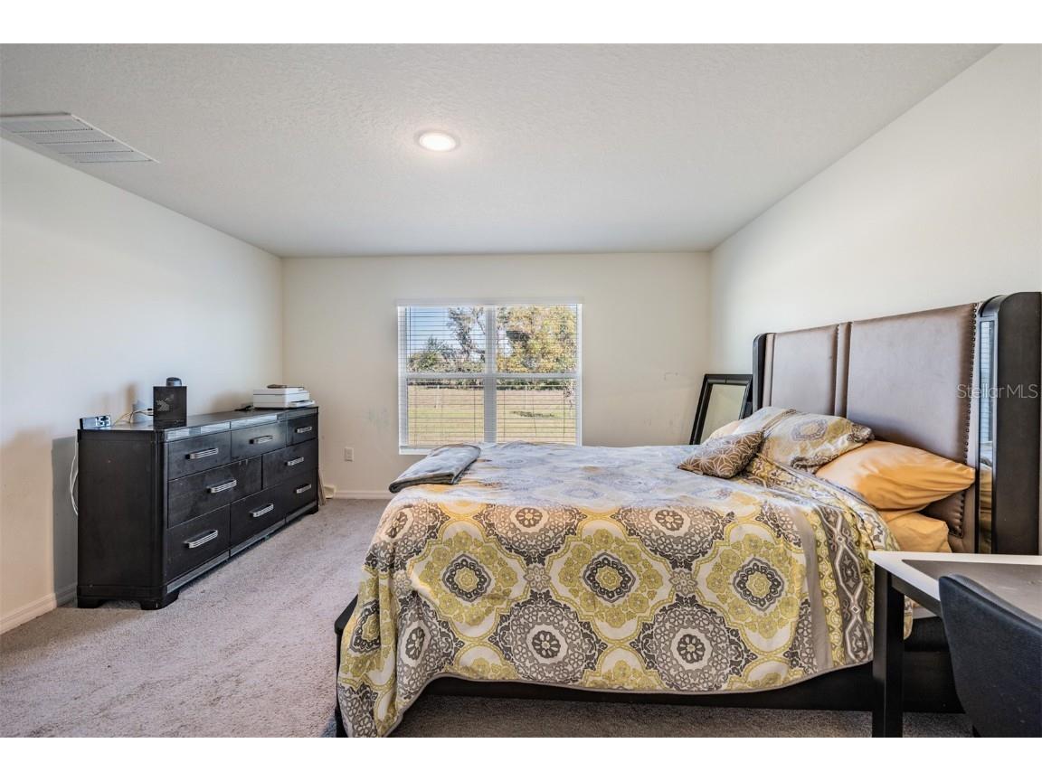 16838 Delia Street Wimauma FL 33598 TB8324613 image18