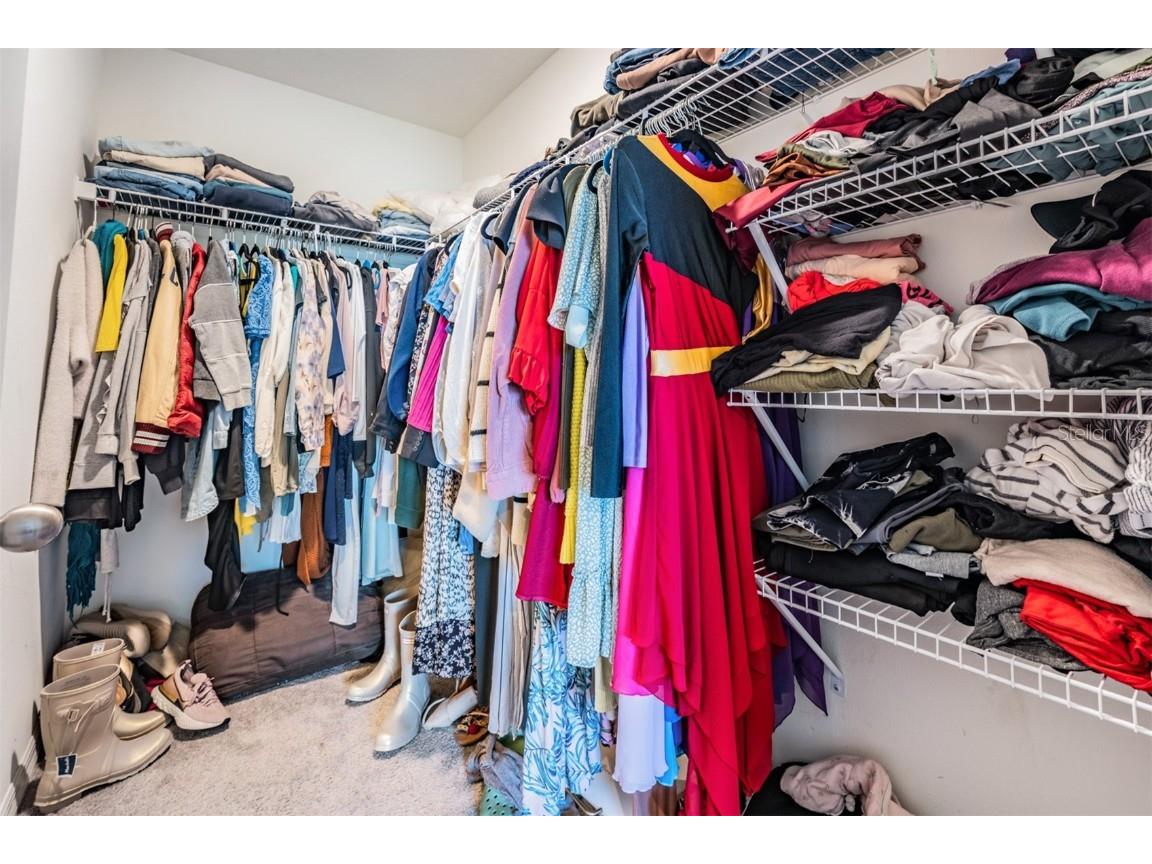 16838 Delia Street Wimauma FL 33598 TB8324613 image19