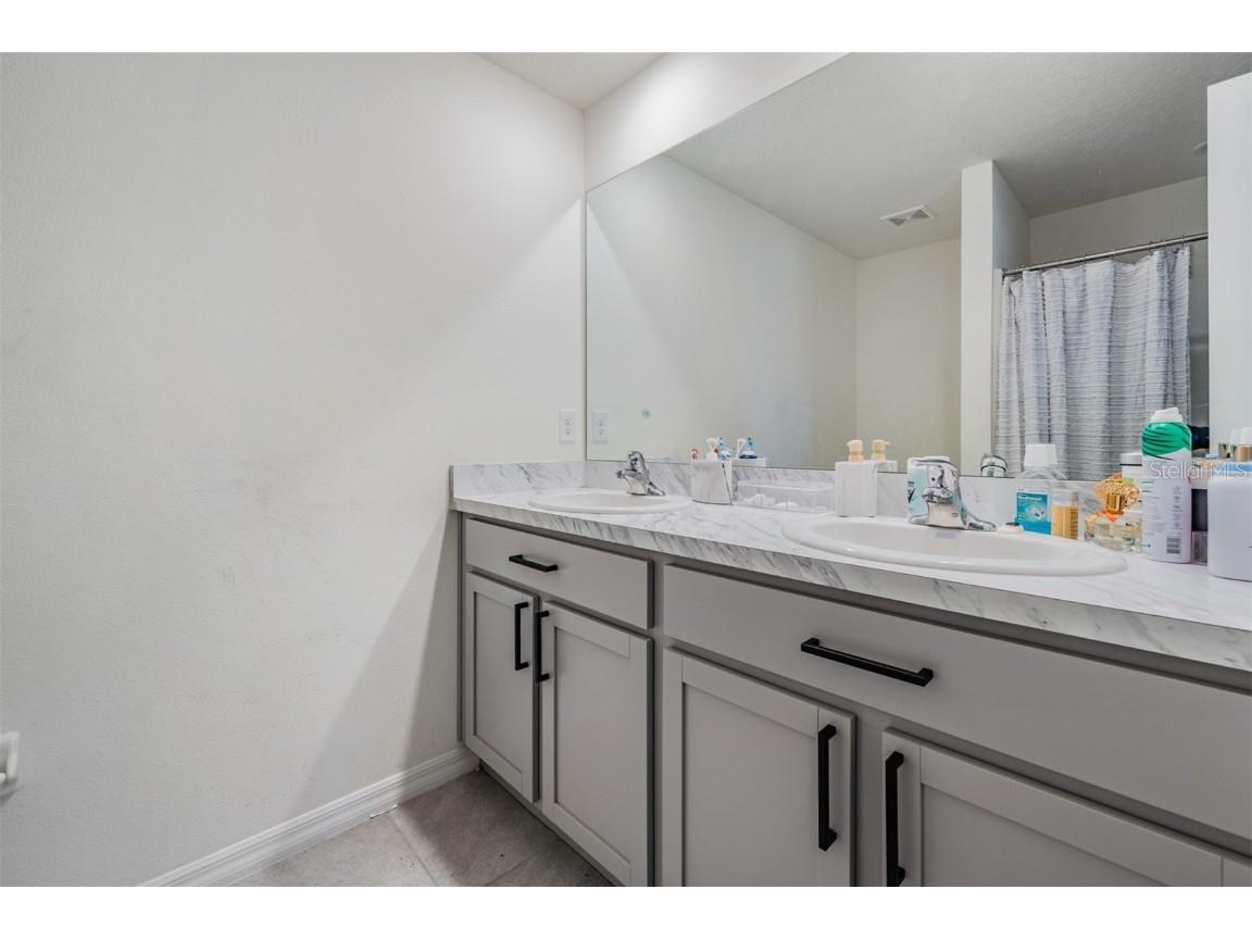 16838 Delia Street Wimauma FL 33598 TB8324613 image20