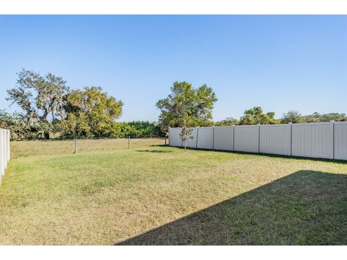 16838 Delia Street Wimauma FL 33598 TB8324613 image25