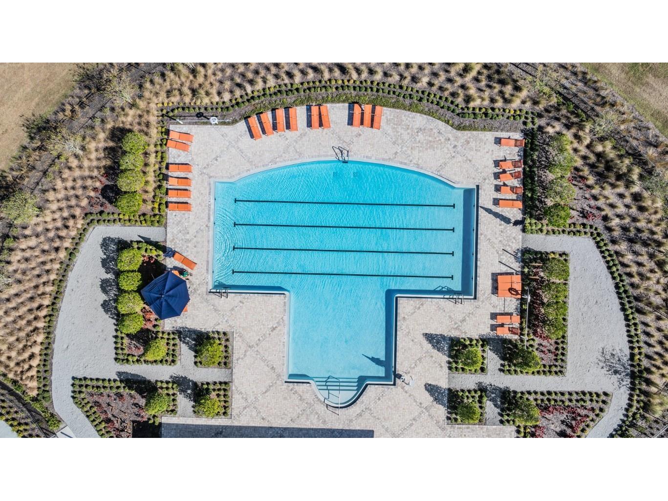 16838 Delia Street Wimauma FL 33598 TB8324613 image29