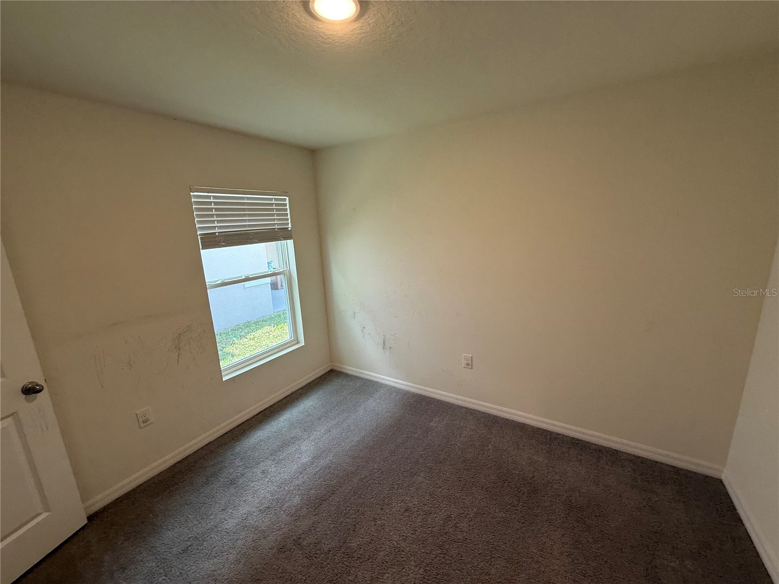 16838 Delia Street Wimauma FL 33598 TB8498611 image11