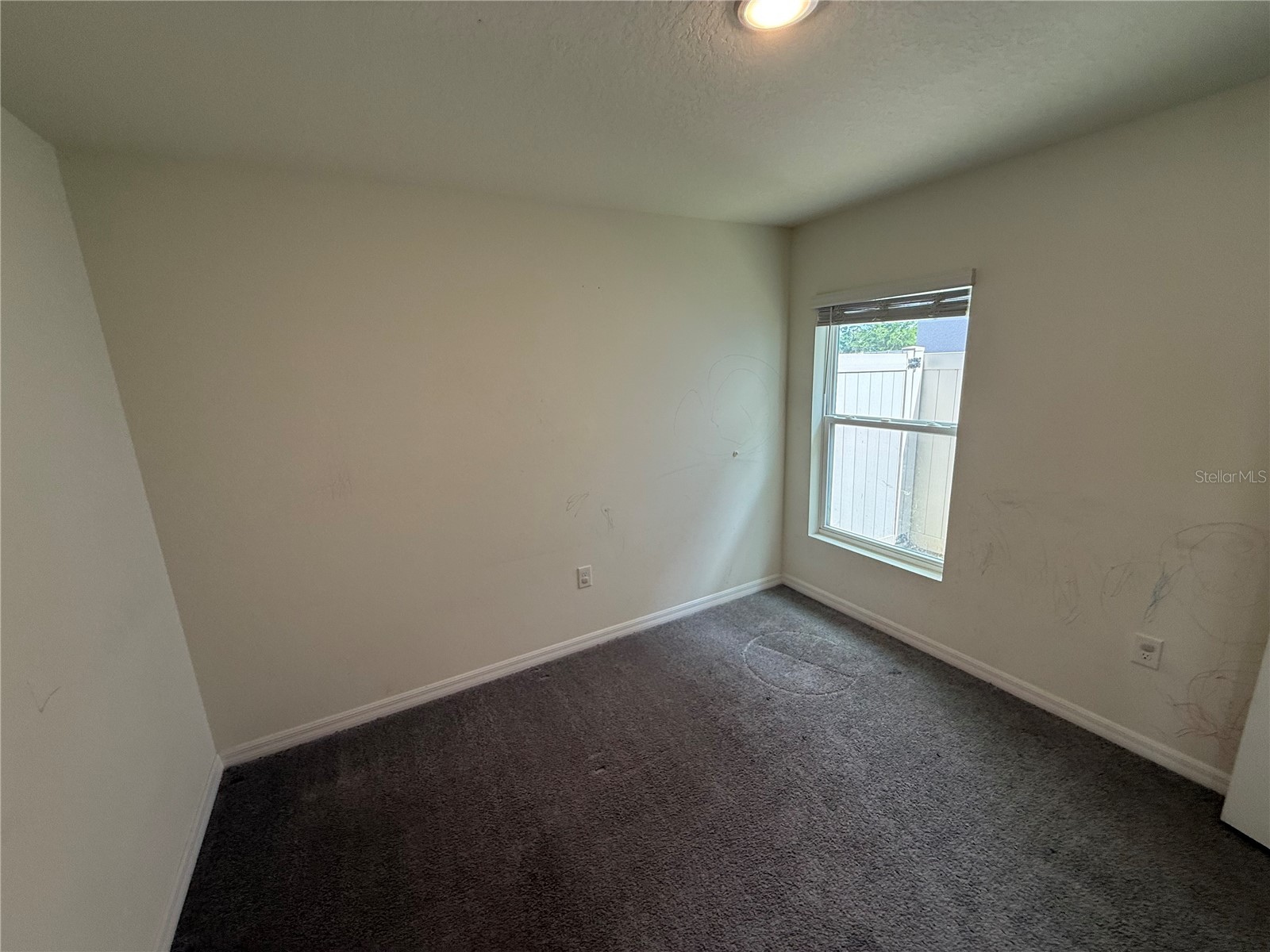 16838 Delia Street Wimauma FL 33598 TB8498611 image14