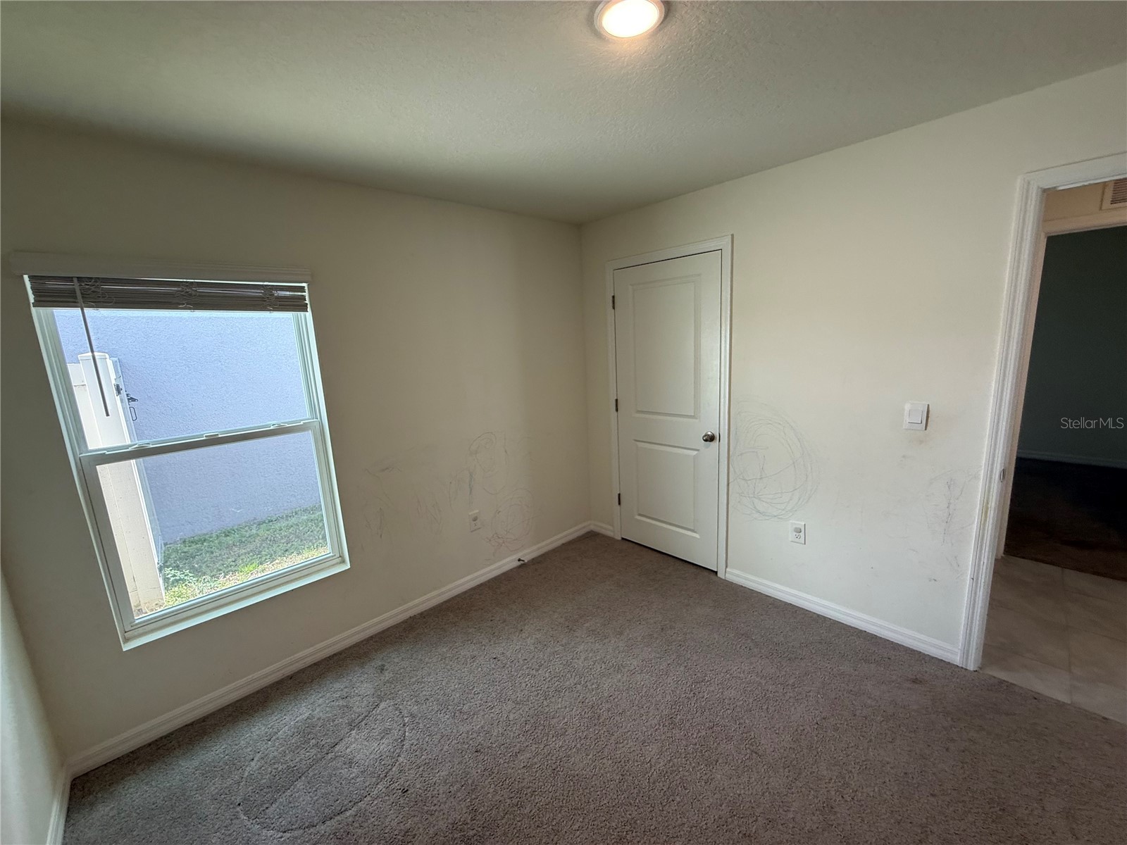 16838 Delia Street Wimauma FL 33598 TB8498611 image15