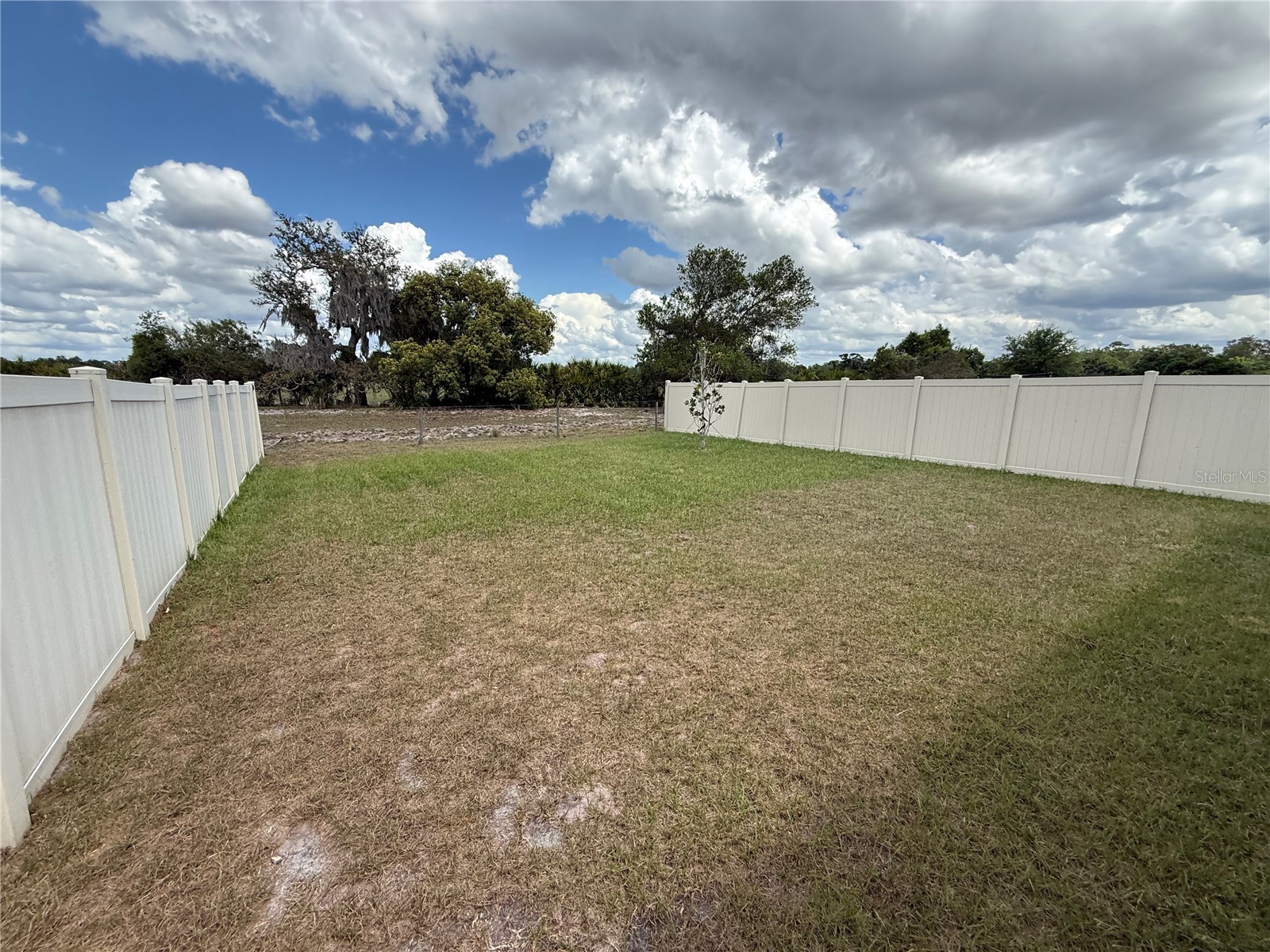 16838 Delia Street Wimauma FL 33598 TB8498611 image16