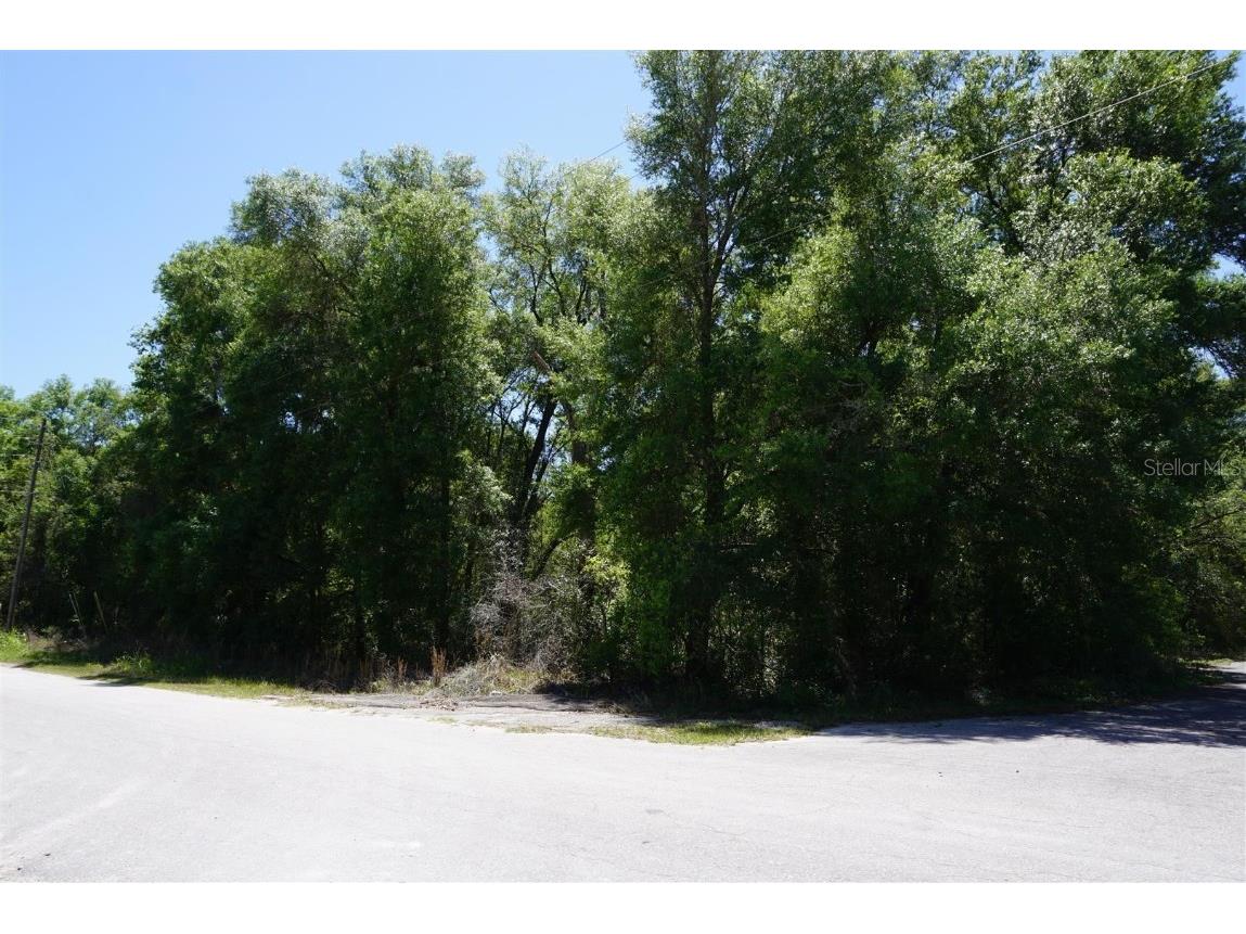 1684 E Manko Drive Hernando FL 34442 OM656864 image1