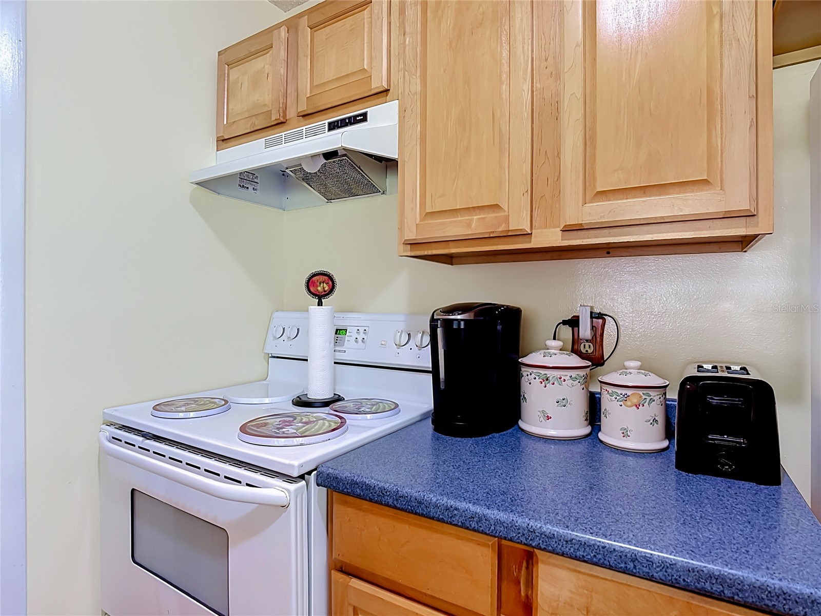1684 Evergreen Street Kissimmee FL 34746 S5153134 image11