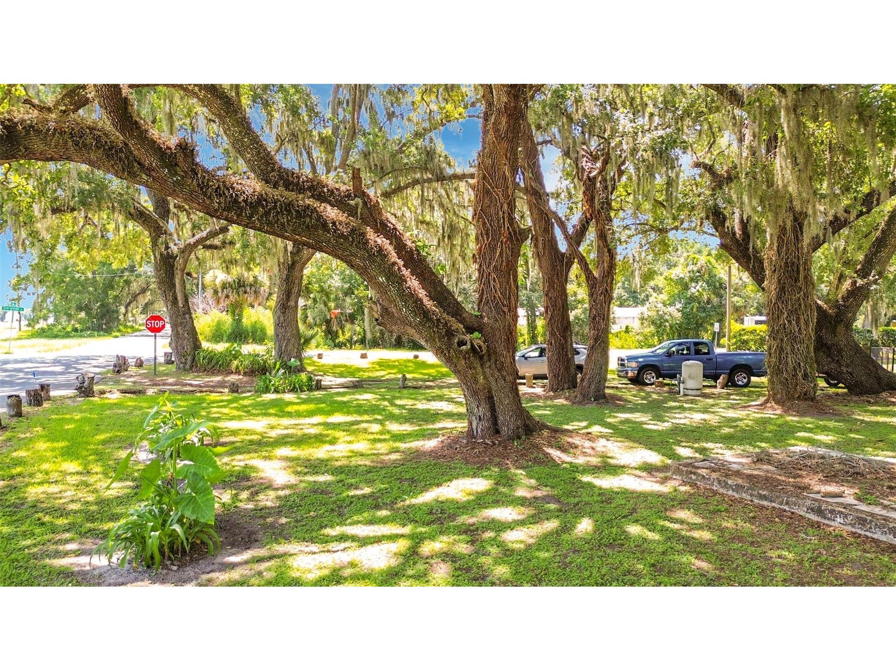 1684 Evergreen Street Kissimmee FL 34746 S5153134 image33