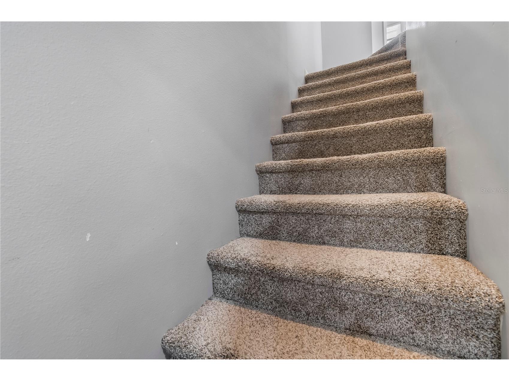 1684 Fry Court Dunedin FL 34698 TB8470045 image31