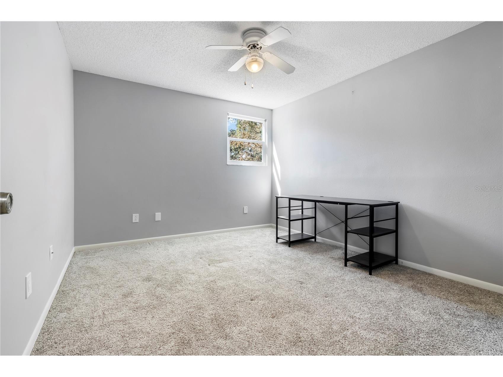 1684 Fry Court Dunedin FL 34698 TB8470045 image38