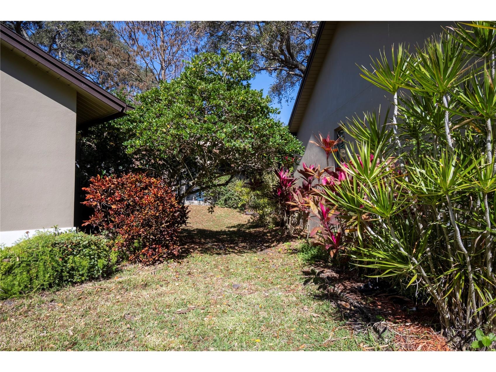 1684 Fry Court Dunedin FL 34698 TB8470045 image44