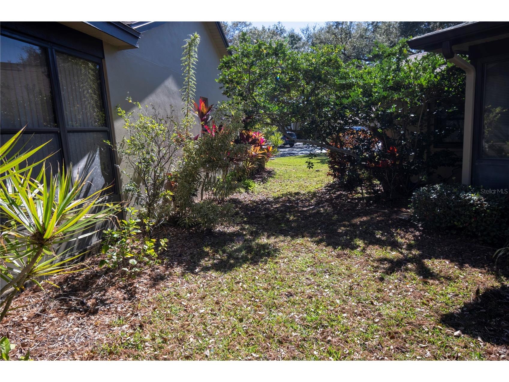 1684 Fry Court Dunedin FL 34698 TB8470045 image45