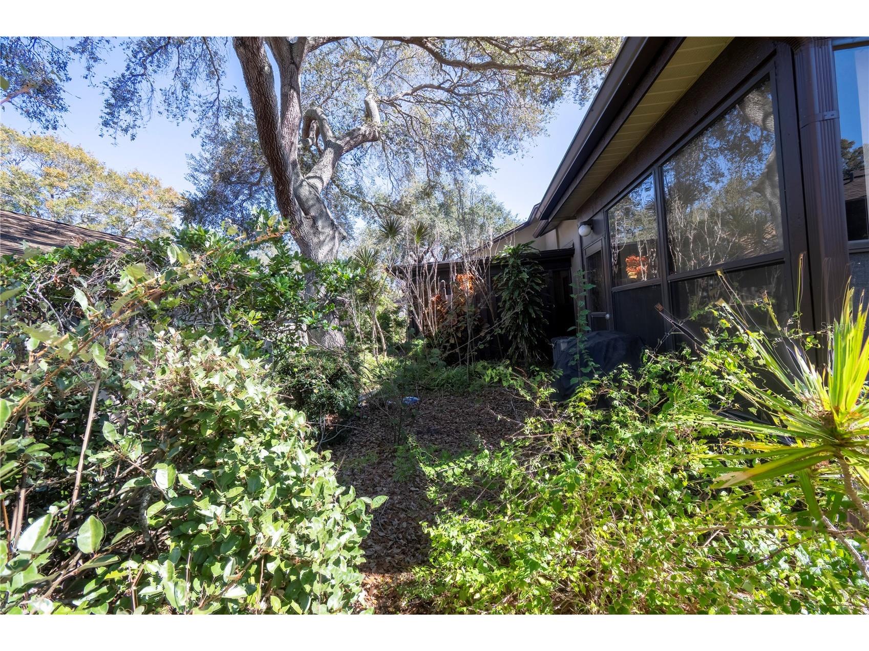 1684 Fry Court Dunedin FL 34698 TB8470045 image46