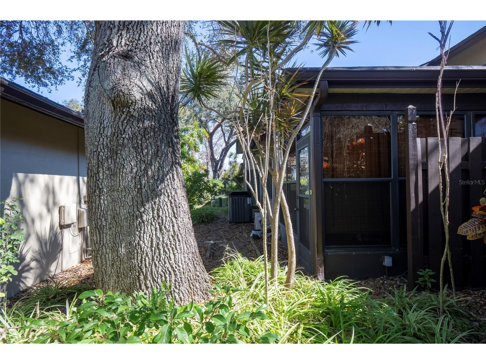 1684 Fry Court Dunedin FL 34698 TB8470045 image48