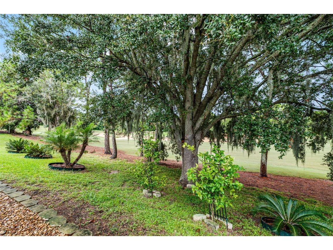 1684 Waterview Loop Haines City FL 33844 O6338896 image25
