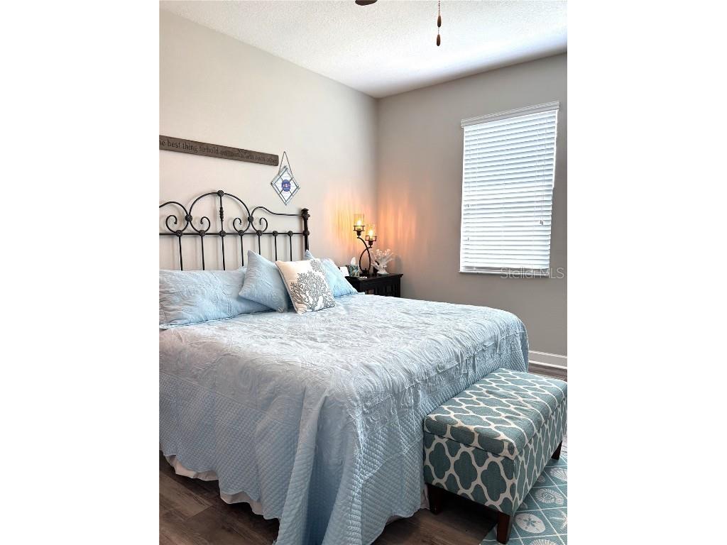 16840 Whisper Elm Street Wimauma FL 33598 TB8373666 image25