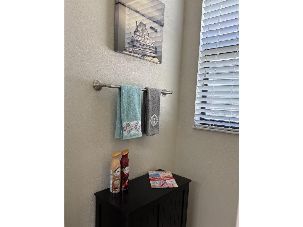 16840 Whisper Elm Street Wimauma FL 33598 TB8373666 image29