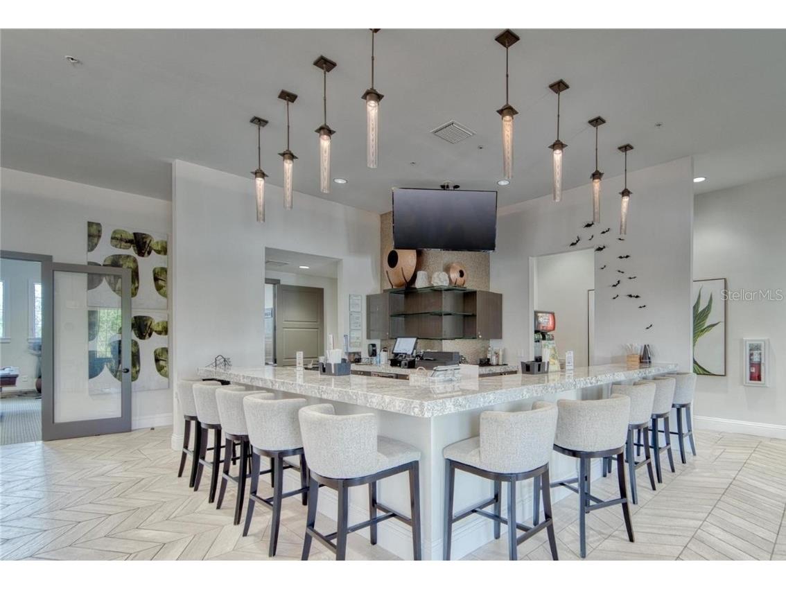 16840 Whisper Elm Street Wimauma FL 33598 TB8373666 image43