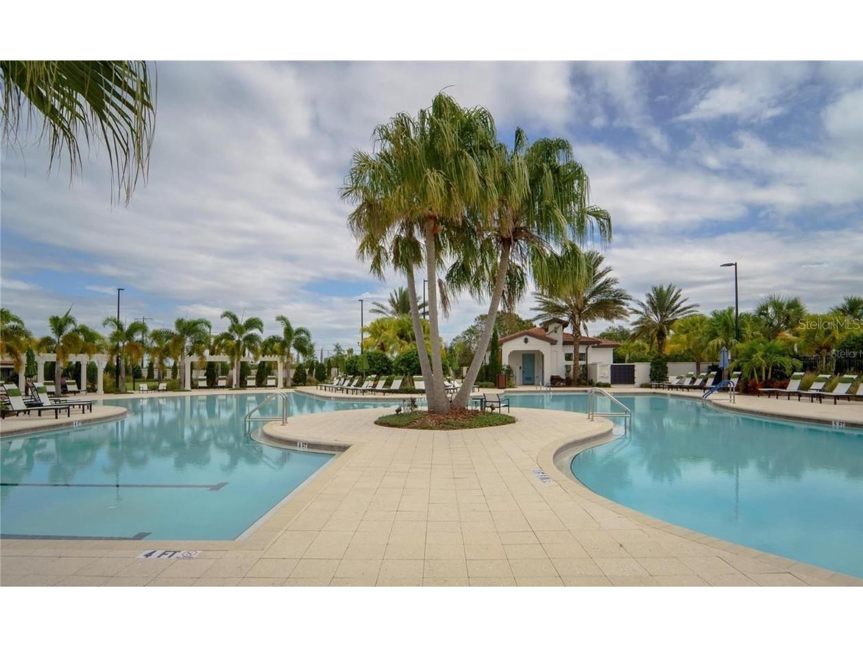 16840 Whisper Elm Street Wimauma FL 33598 TB8373666 image44