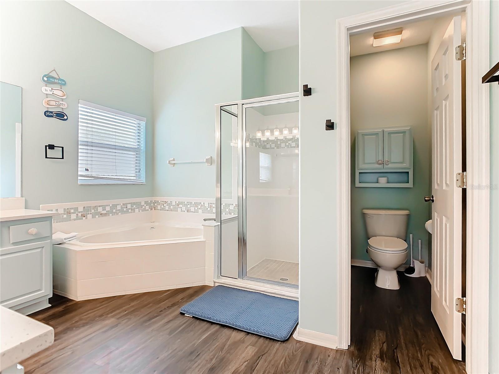 16841 Glenbrook Boulevard Clermont FL 34714 O6390932 image31