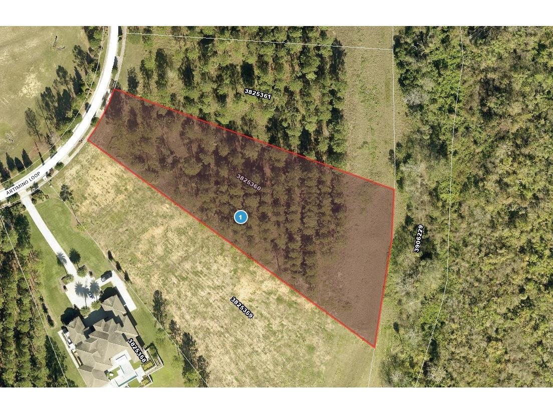 16842 Artimino Loop Montverde FL 34756 - LAKE APOPKA/LAKE SIENA G5103460 image6