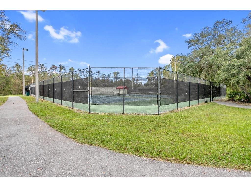 16843 Harrierridge Place Lithia FL 33547 TB8363178 image1