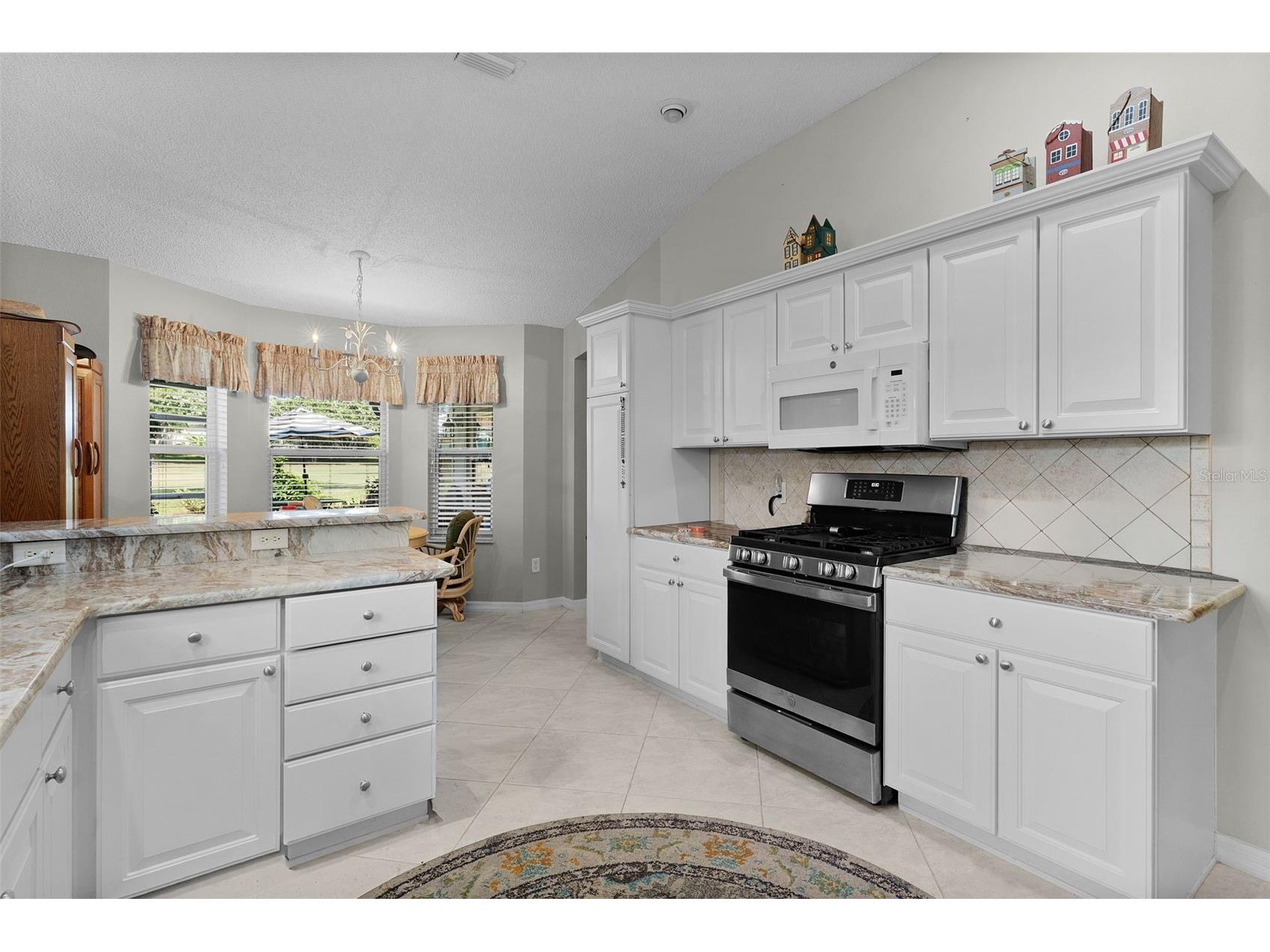 16846 SE 80th Bellavista Circle The Villages FL 32162 G5114344 image16