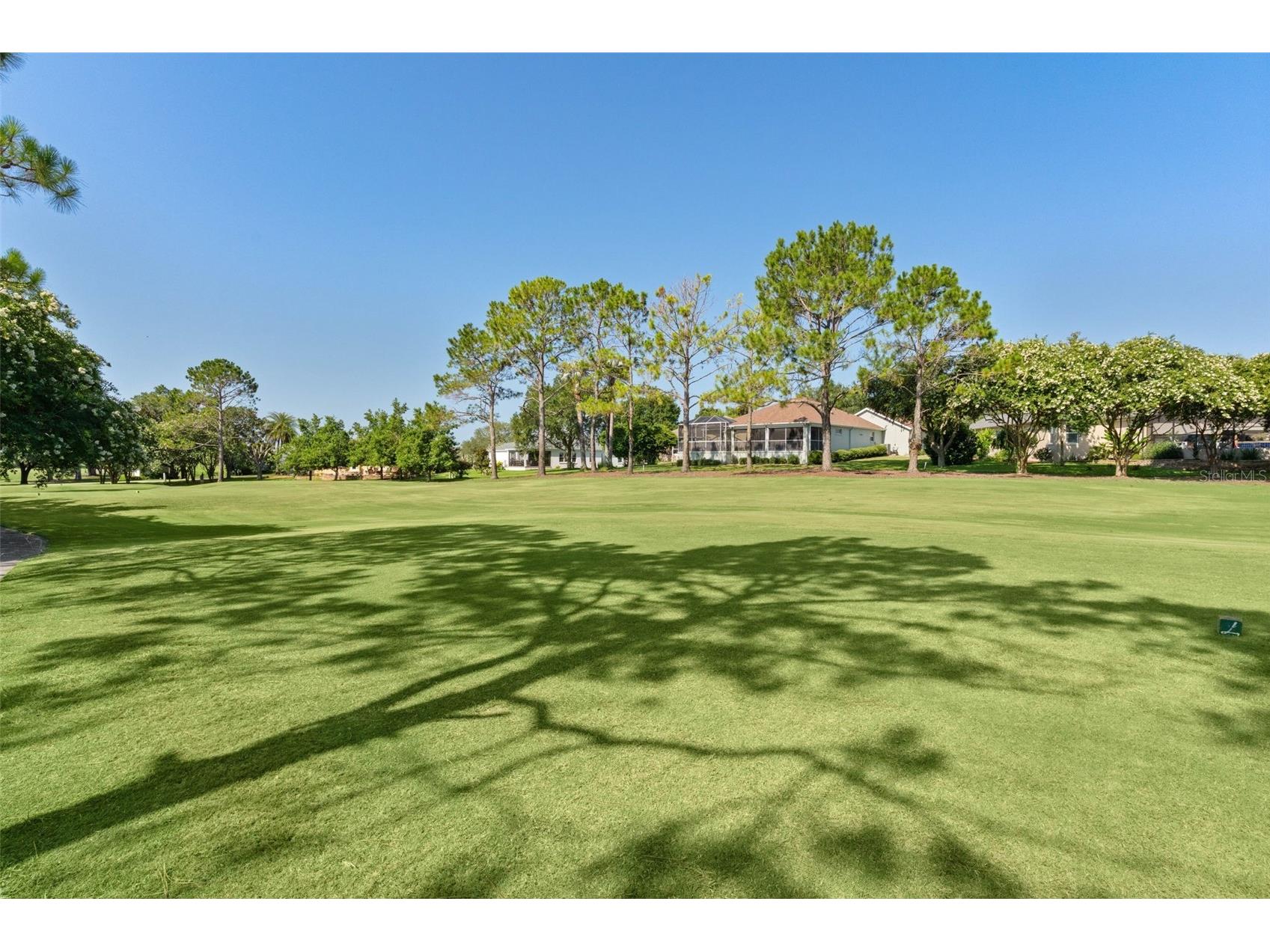 16846 SE 80th Bellavista Circle The Villages FL 32162 G5114344 image44