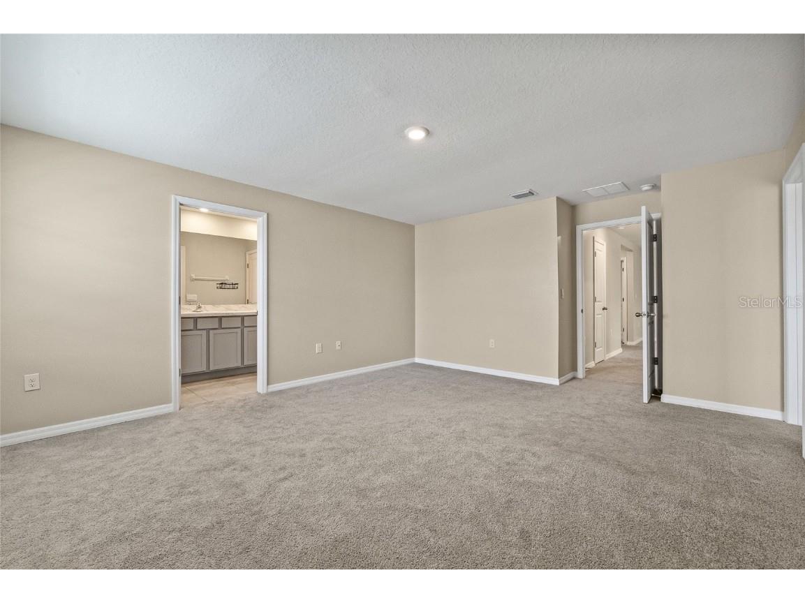 16847 Delia Street Wimauma FL 33598 TB8429669 image22