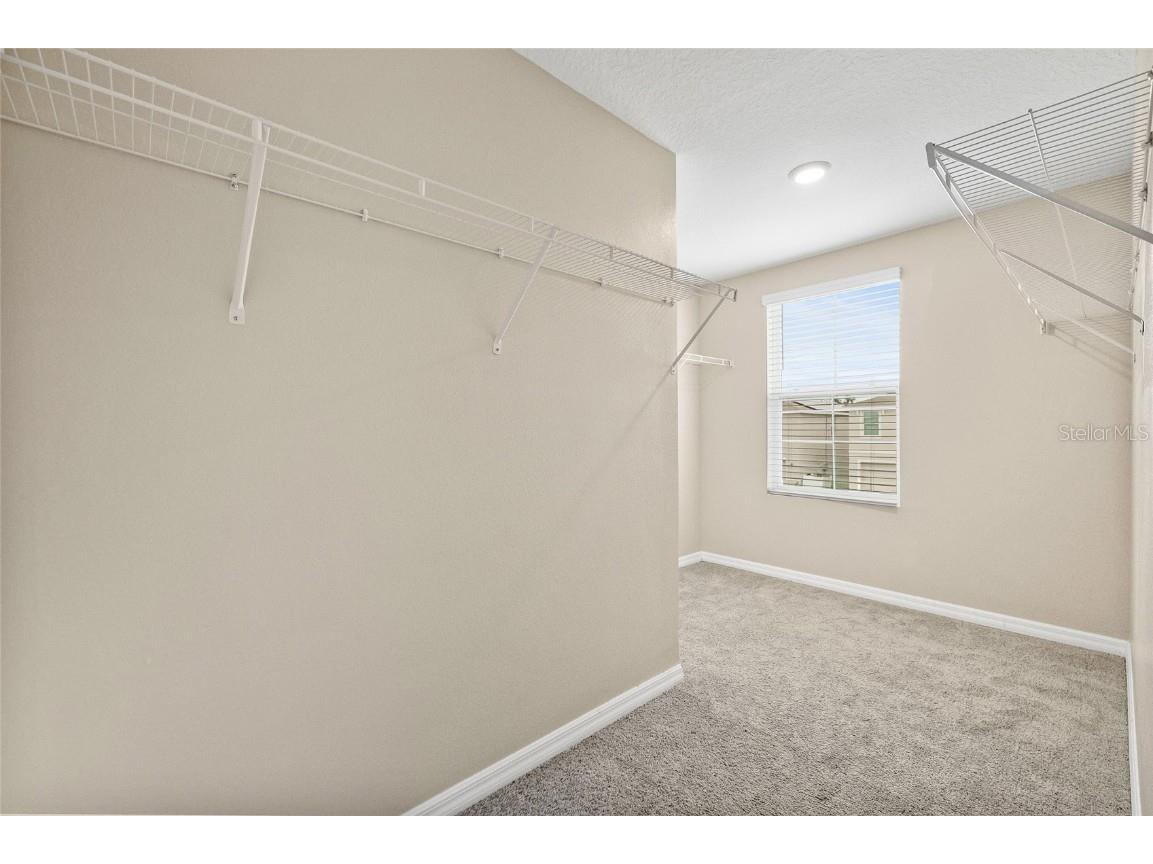 16847 Delia Street Wimauma FL 33598 TB8429669 image27