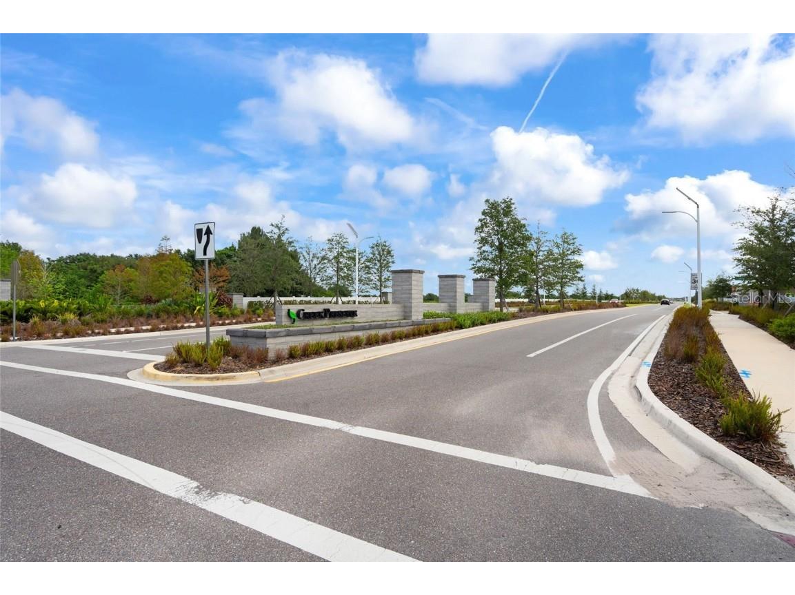 16847 Delia Street Wimauma FL 33598 TB8429669 image60